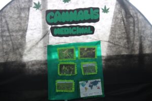 Stand do grupo “Cannabis medicinal: ciência, usos e impactos sociais”